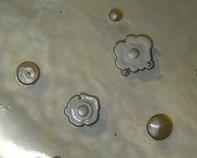 water bacteria water bacteria